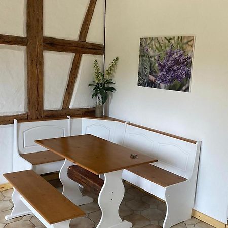 Ferienwohnung Am Gruenen Band, Gretchen Wittingen ภายนอก รูปภาพ