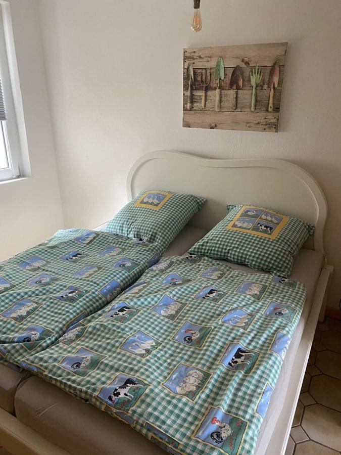 Ferienwohnung Am Gruenen Band, Gretchen Wittingen ภายนอก รูปภาพ